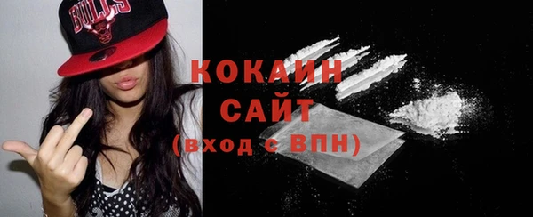 крисы Инта