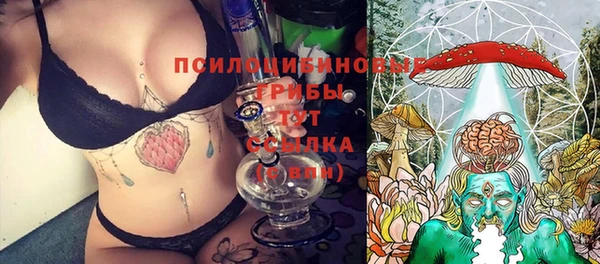 кокаин Каменка
