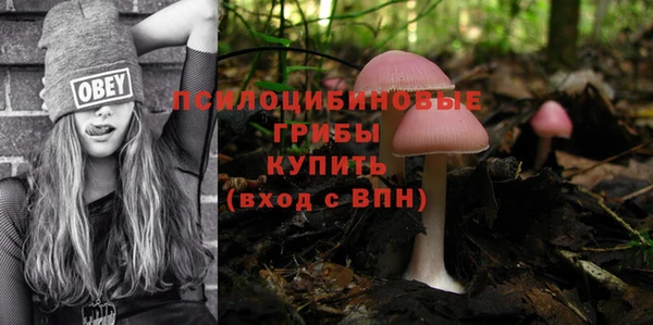 кокаин Каменск-Шахтинский