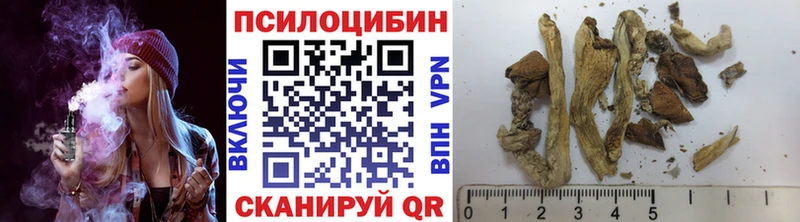 Галлюциногенные грибы Magic Shrooms  shop наркотические препараты  Горячеводский 